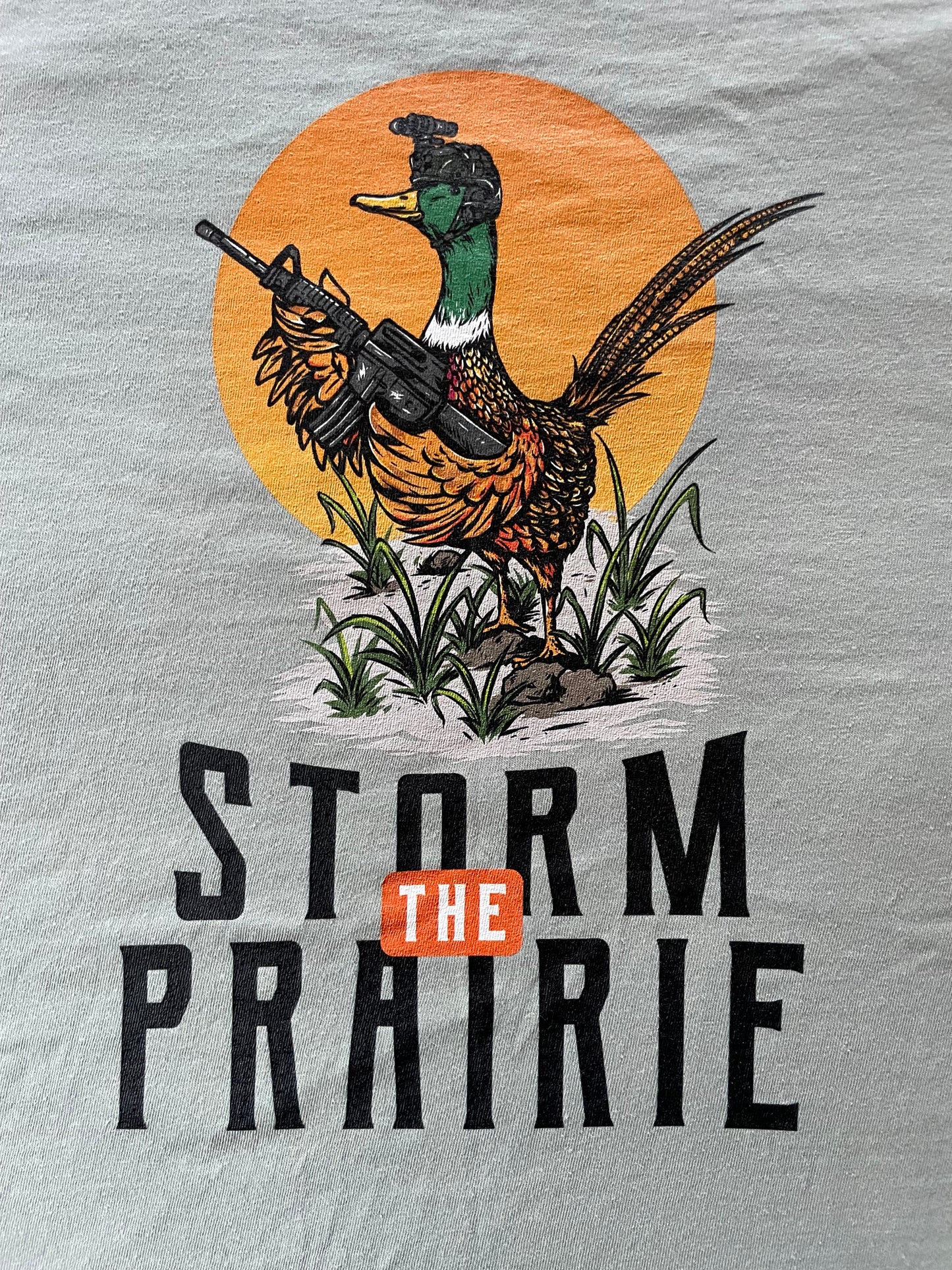Storm the Prairie